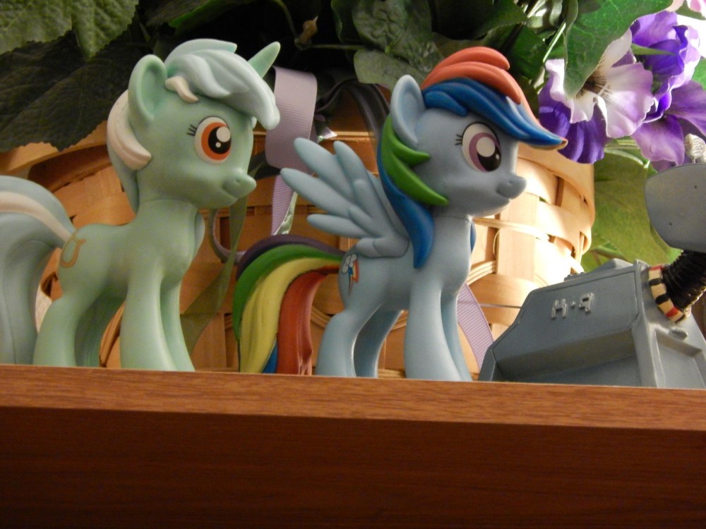 This camera has some CRAZY zoom power - I was on the absolute opposite side of the room when I took this
