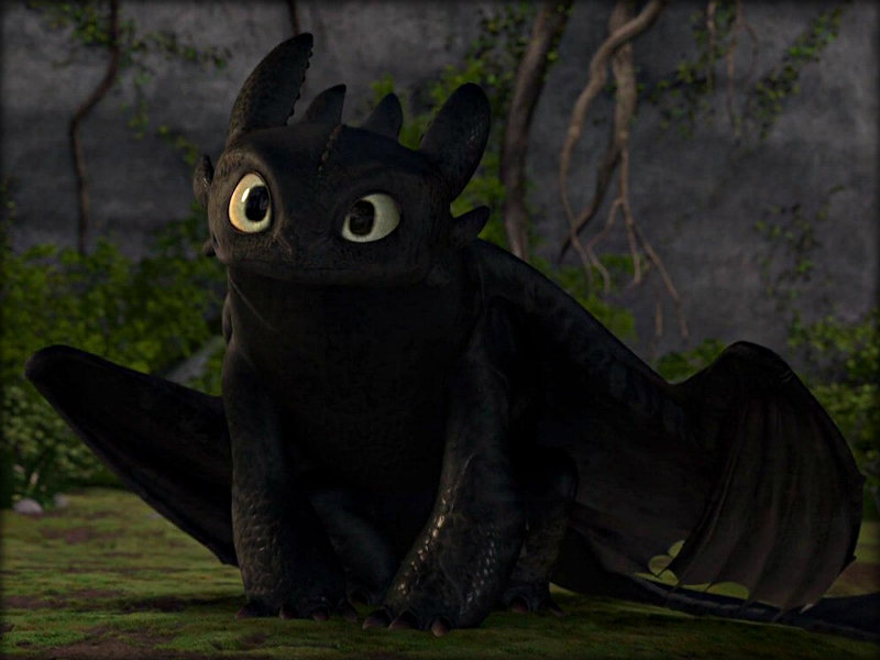 Toothless-how-to-train-your-dragon-32987271-800-600.jpg
