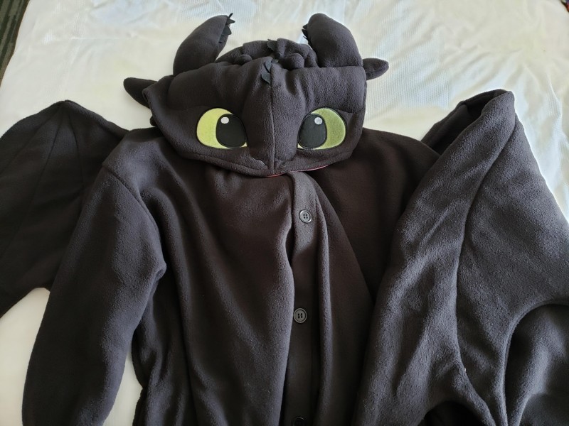 Gen Con 2019 Haul: Toothless Kigurumi!